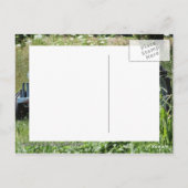 Carte Postale Tracteur dans un champ (Dos)