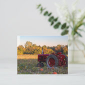 Carte Postale Tracteur dans un champ citrouille (Debout devant)