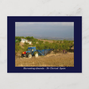 Carte Postale Tracteur récoltant des amandes rurales Espagne