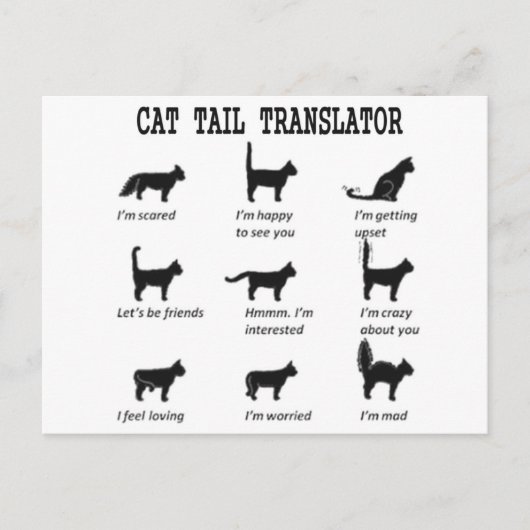 CARTE POSTALE TRADUCTEUR DE QUEUE DE CHAT (Devant)