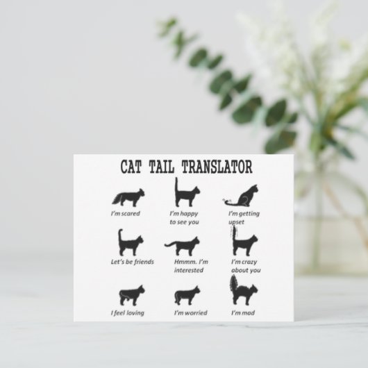CARTE POSTALE TRADUCTEUR TAIL CAT (Debout devant)