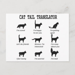 CARTE POSTALE TRADUCTEUR TAIL CAT