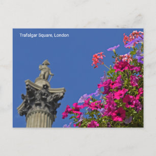 Carte Postale Trafalgar Carré Colonne de Nelson, Londres Royaume