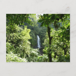 Carte Postale Trafalgar Falls Tropical Rainforest Photographie