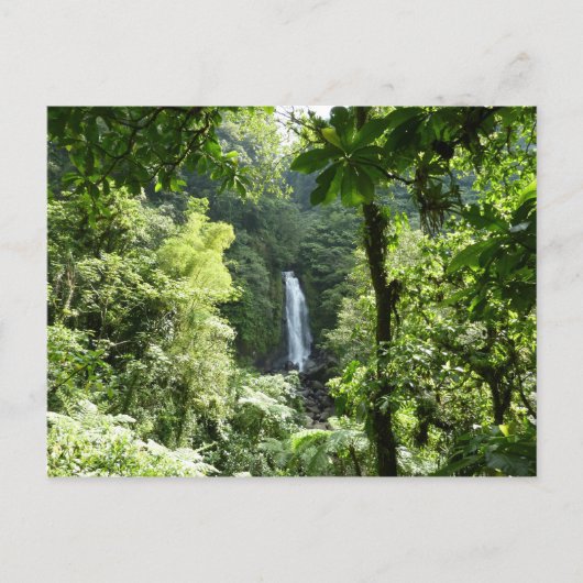 Carte Postale Trafalgar Falls Tropical Rainforest Photographie (Devant)