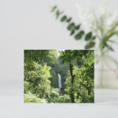Carte Postale Trafalgar Falls Tropical Rainforest Photographie (Debout devant)