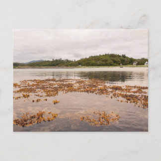 Carte Postale Traigh Beach