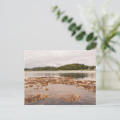 Carte Postale Traigh Beach (Debout devant)
