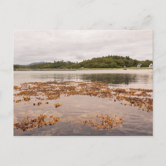 Carte Postale Traigh Beach (Devant)
