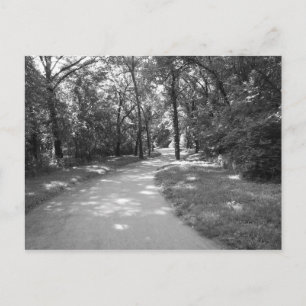 Carte Postale Trail à travers les bois