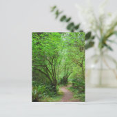 Carte Postale Trail dans Redwood Forest (Debout devant)