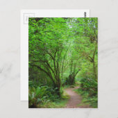 Carte Postale Trail dans Redwood Forest (Devant / Derrière)