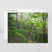 Carte Postale Trail forestier au parc national Acadia (Devant / Derrière)