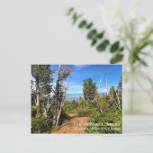 Carte Postale Trail on Mount Howard (Debout devant)