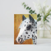 Carte Postale "Trail Ride" Appalloosa Horse (Debout devant)