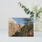 Carte Postale Trail to Angels Landing in Zion National Park (Debout devant)