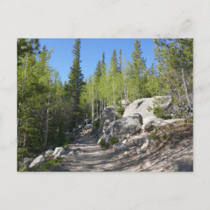 Carte Postale Trail vers Alberta Falls