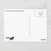 Carte Postale Trail vers Alberta Falls (Dos)