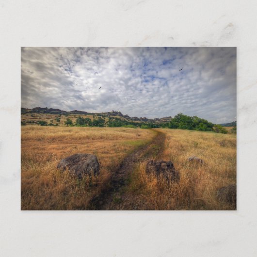 Carte Postale Trailhead, Upper Bidwell Park, Chico, Ca (Devant)