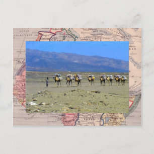 Carte Postale Train à chameaux traversant le désert du Sahara