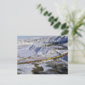 Carte Postale Train à grains, Alberta, Canada Hiver (Debout devant)
