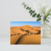 Carte Postale TRAIN DESERT CAMEL - Dunes de sable à Tamnougalt (Debout devant)