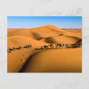 Carte Postale TRAIN DESERT CAMEL - Dunes de sable à Tamnougalt