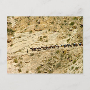 Carte Postale Train Havasu Canyon Pack