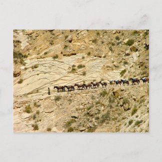 Carte Postale Train Havasu Canyon Pack