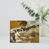 Carte Postale Train Havasu Canyon Pack (Debout devant)