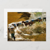 Carte Postale Train Havasu Canyon Pack (Devant / Derrière)