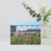 Carte Postale Train Keisei : Edogawa, Tokyo (Debout devant)