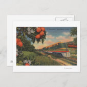 Carte Postale Train - Orange Blossom Special (Devant / Derrière)