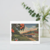 Carte Postale Train - Orange Blossom Special (Debout devant)