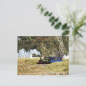 CARTE POSTALE TRAINS À VAPEUR (Debout devant)