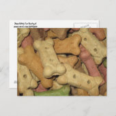 Carte postale Traitements de chien (Devant / Derrière)