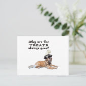Carte Postale Traitements de chien pirate (Debout devant)