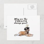 Carte Postale Traitements de chien pirate (Devant / Derrière)