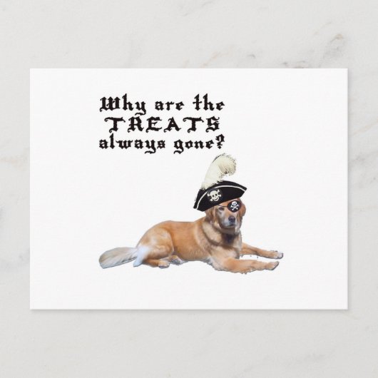 Carte Postale Traitements de chien pirate (Devant)