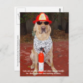 Carte Postale Traits de laboratoire - Utilisation par la police  (Devant / Derrière)