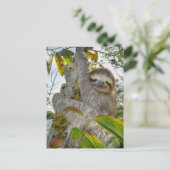 Carte Postale Tranquille grâce Arboréale (Debout devant)