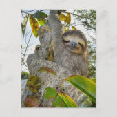 Carte Postale Tranquille grâce Arboréale (Devant)