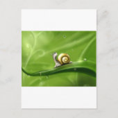 Carte Postale Tranquillité (Devant)