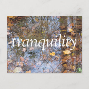 Carte Postale Tranquillité