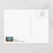 Carte Postale Tranquillité du lac Michigan (Dos)