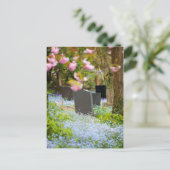 Carte Postale Tranquillité sauvage, beau cimetière. Hopwas UK (Debout devant)