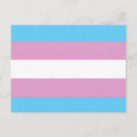 TRANS FLAG ORIGINAL -.png