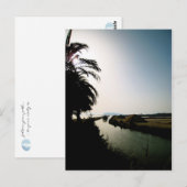 carte postale trapani (Devant / Derrière)