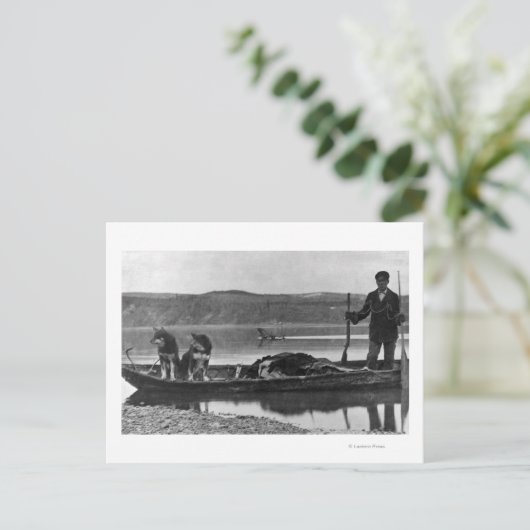 Carte Postale Trapper en canot avec des hanches et des chiens Al (Debout devant)
