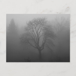 Carte Postale Trauerkarte
